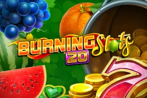 02309 burning slots 20