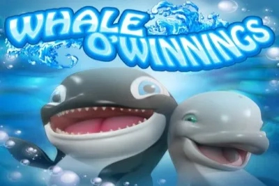 20366 whale o winnings